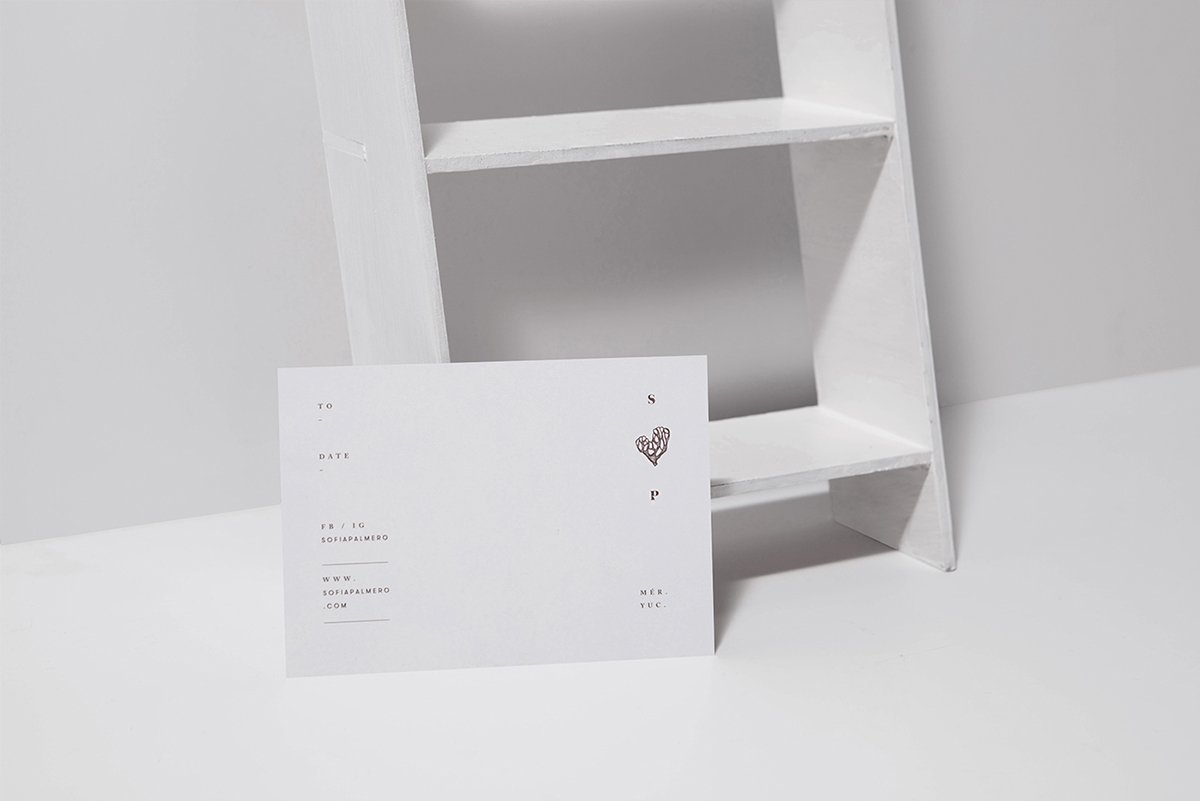 Sofia Palmero泳衣品牌形象設(shè)計(jì)  名片設(shè)計(jì)