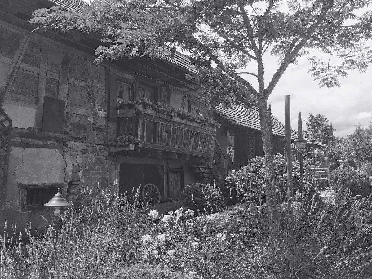 德國餐廳（餐飲）品牌標(biāo)志設(shè)計和品牌設(shè)計——logo與馬牧場背景相關(guān)，品牌設(shè)計，餐飲品牌設(shè)計，餐飲logo設(shè)計，餐廳品牌設(shè)計，品牌標(biāo)志設(shè)計，深圳品牌設(shè)計
