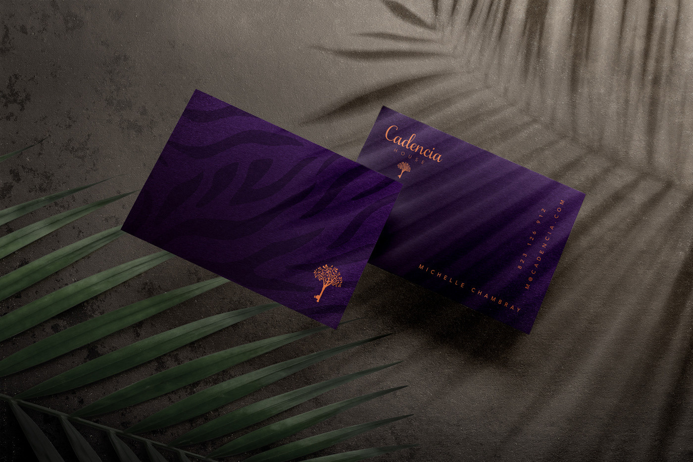 Cadencia時尚服裝品牌設(shè)計(jì)案例和品牌營銷，服裝品牌形象設(shè)計(jì)，品牌營銷，深圳品牌設(shè)計(jì)，左右格局