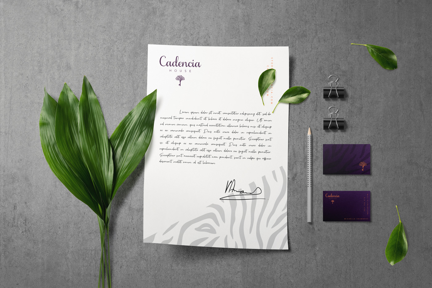 Cadencia時尚服裝品牌設(shè)計(jì)案例和品牌營銷，服裝品牌形象設(shè)計(jì)，品牌營銷，深圳品牌設(shè)計(jì)，左右格局