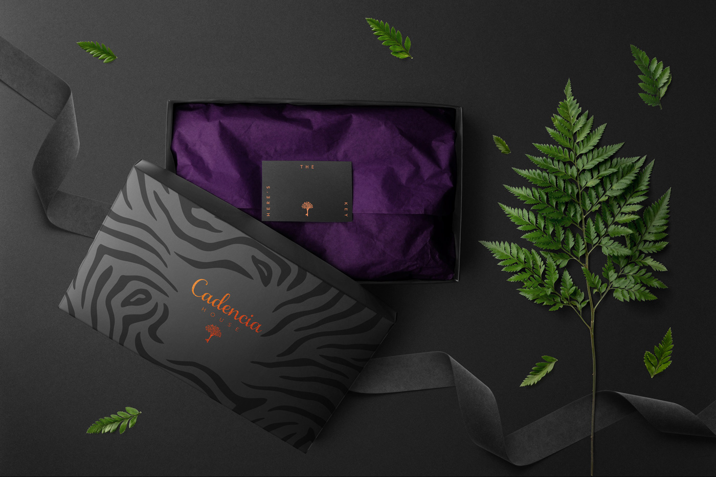 Cadencia時尚服裝品牌設(shè)計(jì)案例和品牌營銷，服裝品牌形象設(shè)計(jì)，品牌營銷，深圳品牌設(shè)計(jì)，左右格局