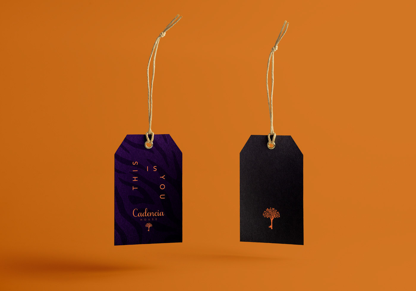 Cadencia時尚服裝品牌設(shè)計(jì)案例和品牌營銷，服裝品牌形象設(shè)計(jì)，品牌營銷，深圳品牌設(shè)計(jì)，左右格局