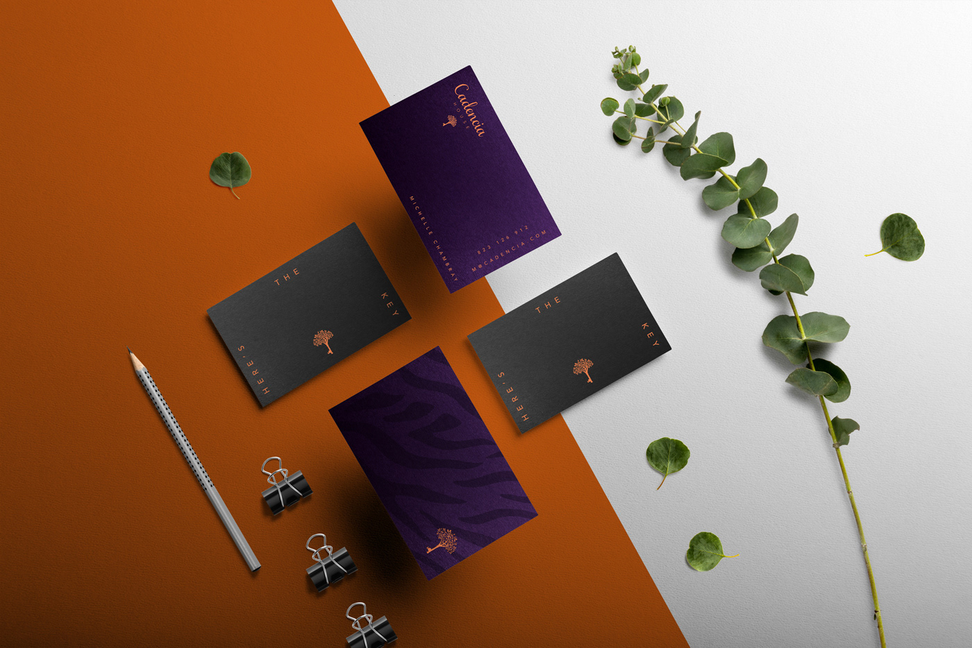 Cadencia時尚服裝品牌設(shè)計(jì)案例和品牌營銷，服裝品牌形象設(shè)計(jì)，品牌營銷，深圳品牌設(shè)計(jì)，左右格局