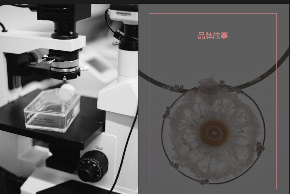 Vsense如何成為目標客戶的意見領(lǐng)袖