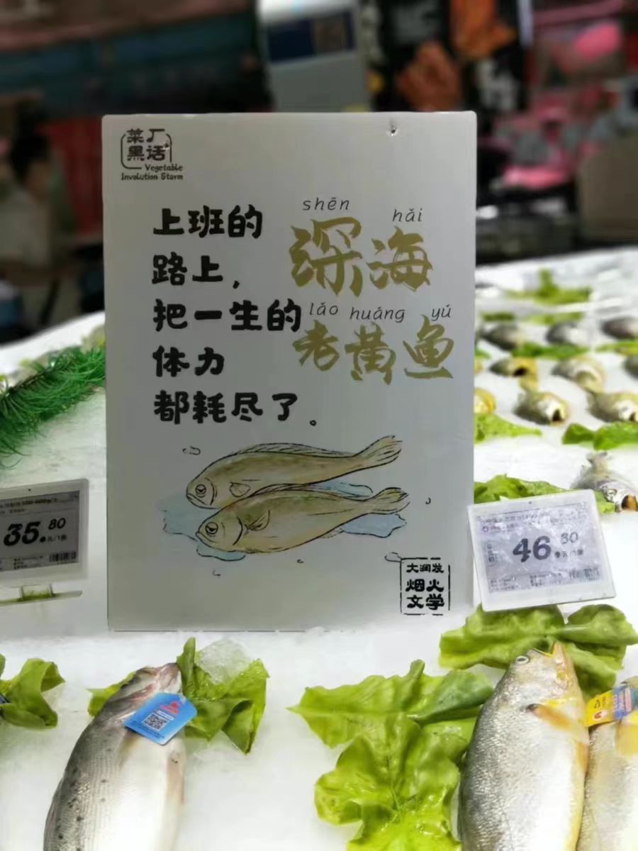 深海老黃魚內(nèi)容營銷
